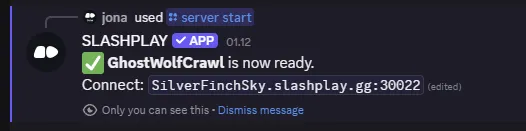 The bot confirming a server is ready and showing its connect address