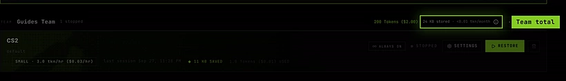 The Servers tab: a stopped CS2 card with 11 KB saved, and the team line showing the total stored and the info icon
