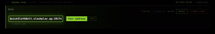 A live Counter-Strike 1.6 server card with its address, Copy and Launch in Steam