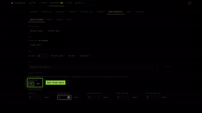 Server toggles with Friendly fire set to On from the panel, lit green