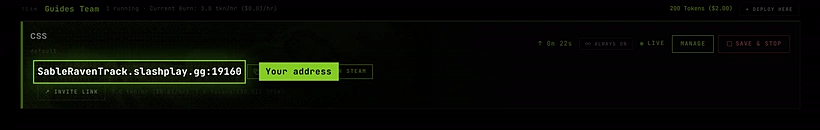 A live Counter-Strike: Source server card with its address, Copy and Launch in Steam