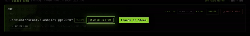 A live CS2 server card with its address, Copy, Launch in Steam and Invite link