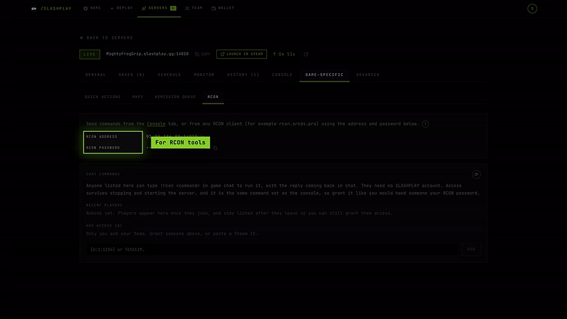 The RCON panel with the RCON address and password, and Chat commands below