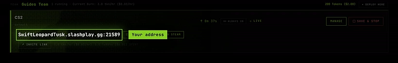 A live server card with its address