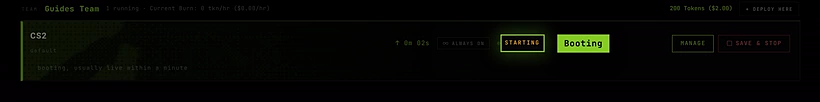 A server card showing Starting