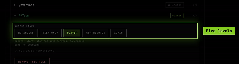 A role opened on the team's Discord tab, showing the five access levels with Player selected