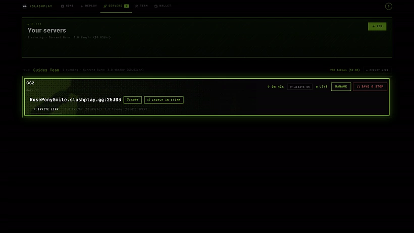 The Servers tab with a live CS2 server