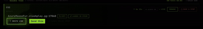 A live server card with its address and the INVITE LINK button