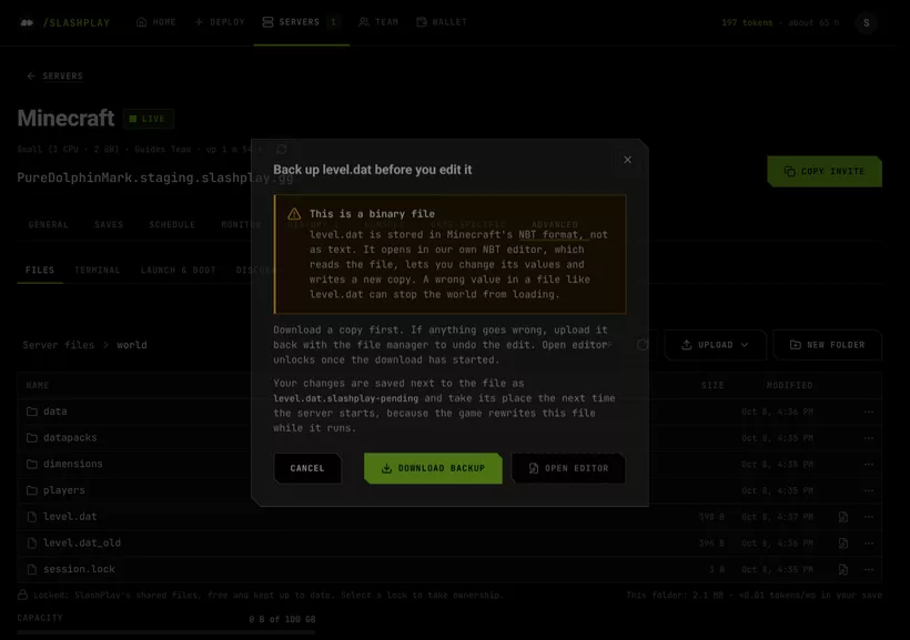 The Back up level.dat before you edit it window: a warning that this is a binary file, with Download backup and a locked Open editor button