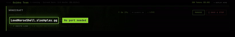 A live Minecraft server card with its address highlighted