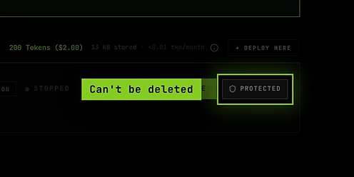 A stopped server card showing a Protected shield instead of the trash button