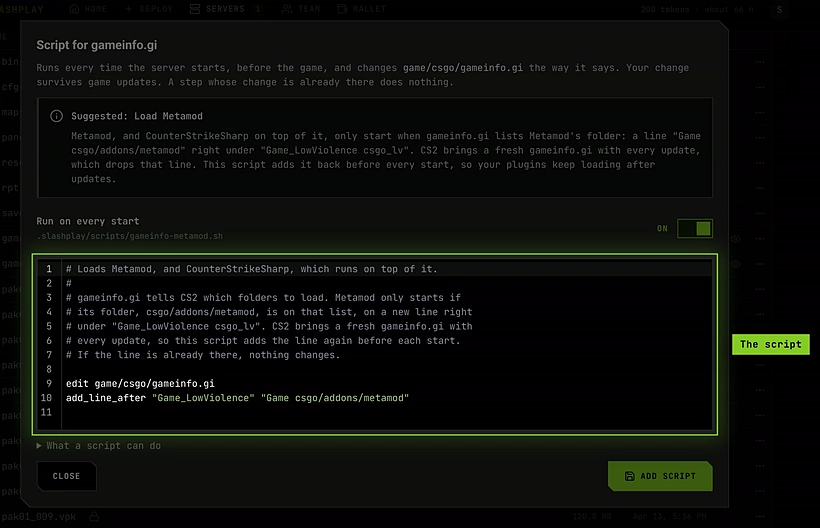 The Script for gameinfo.gi window: why the line is needed, the Run on every start switch, the two-line script in an editor, and Add script