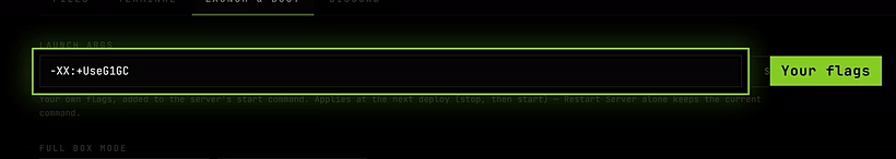 The Launch & Boot tab of a Minecraft server with -XX:+UseG1GC typed in the Launch args field and the Save button