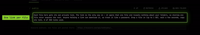The public folder in the file manager, with the banner explaining that each file gets its own private link and how many links are used