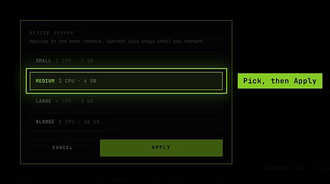 The Resize server window with MEDIUM selected and the Apply button