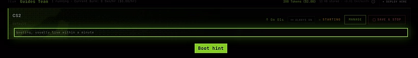 A server card showing STARTING and the hint booting, usually live within a minute