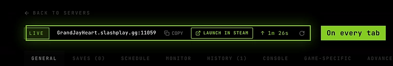The server page header: LIVE status, the address with Copy and Launch in Steam, the uptime and the refresh button