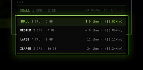 The size list in the CS2 deploy window: SMALL 3, MEDIUM 6, LARGE 12 and XLARGE 24 tokens an hour