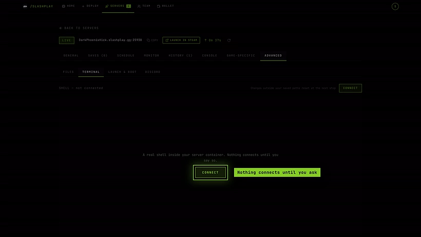 The Terminal tab before connecting: a dimmed panel that says nothing connects until you say so, and a Connect button