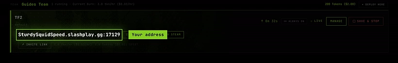 A live Team Fortress 2 server card with its address, Copy and Launch in Steam