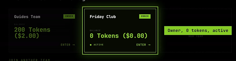 The new team's card: OWNER, 0 Tokens and marked Active