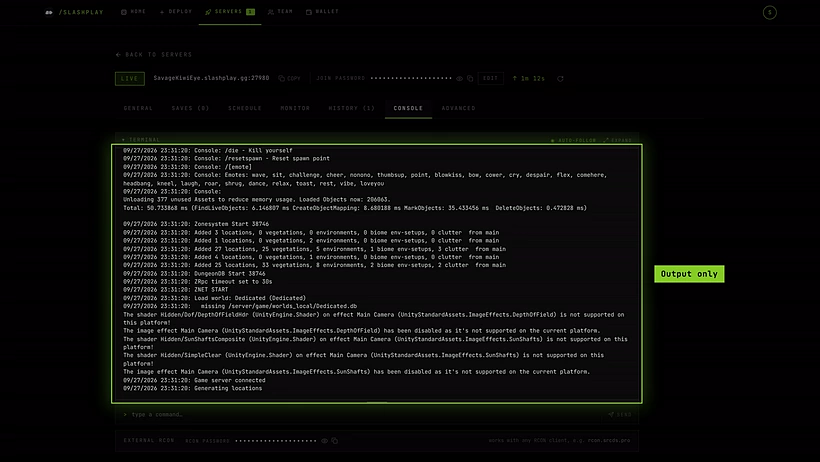 The Console tab showing Valheim's live output