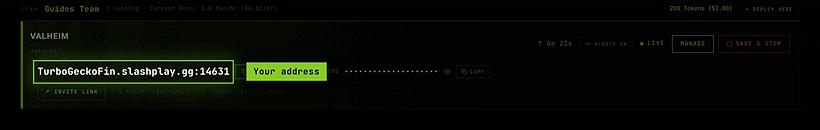 A live Valheim server card with its address and Copy